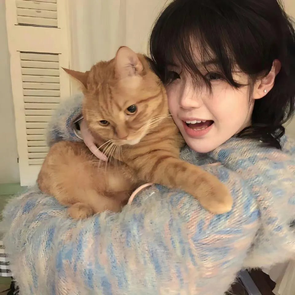 特洛伊：木马屠城记